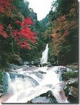 0057_j.jpg