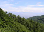 08-17 004.jpg