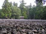 8-31 007.jpg